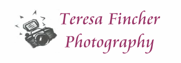 Teresa Fincher Photography